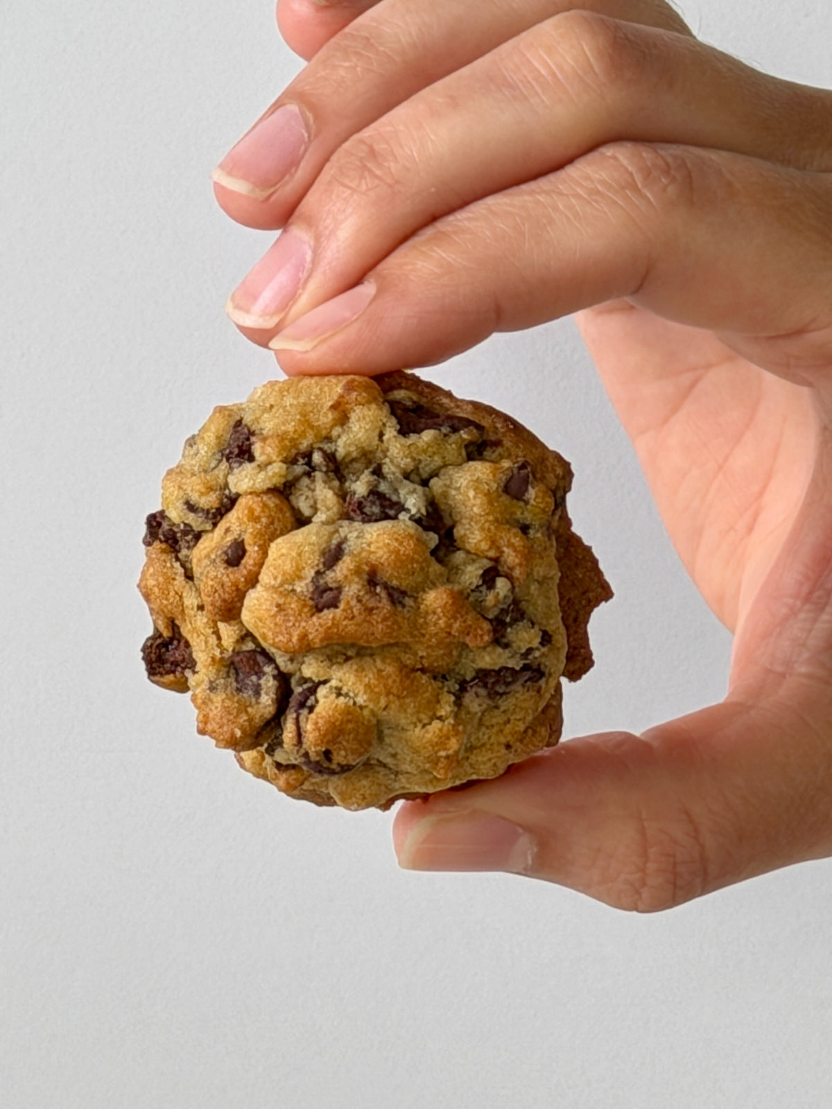 Chocolate Chip NYC Mini cookie held between fingers by Big Sweet Tasty in San Antonio