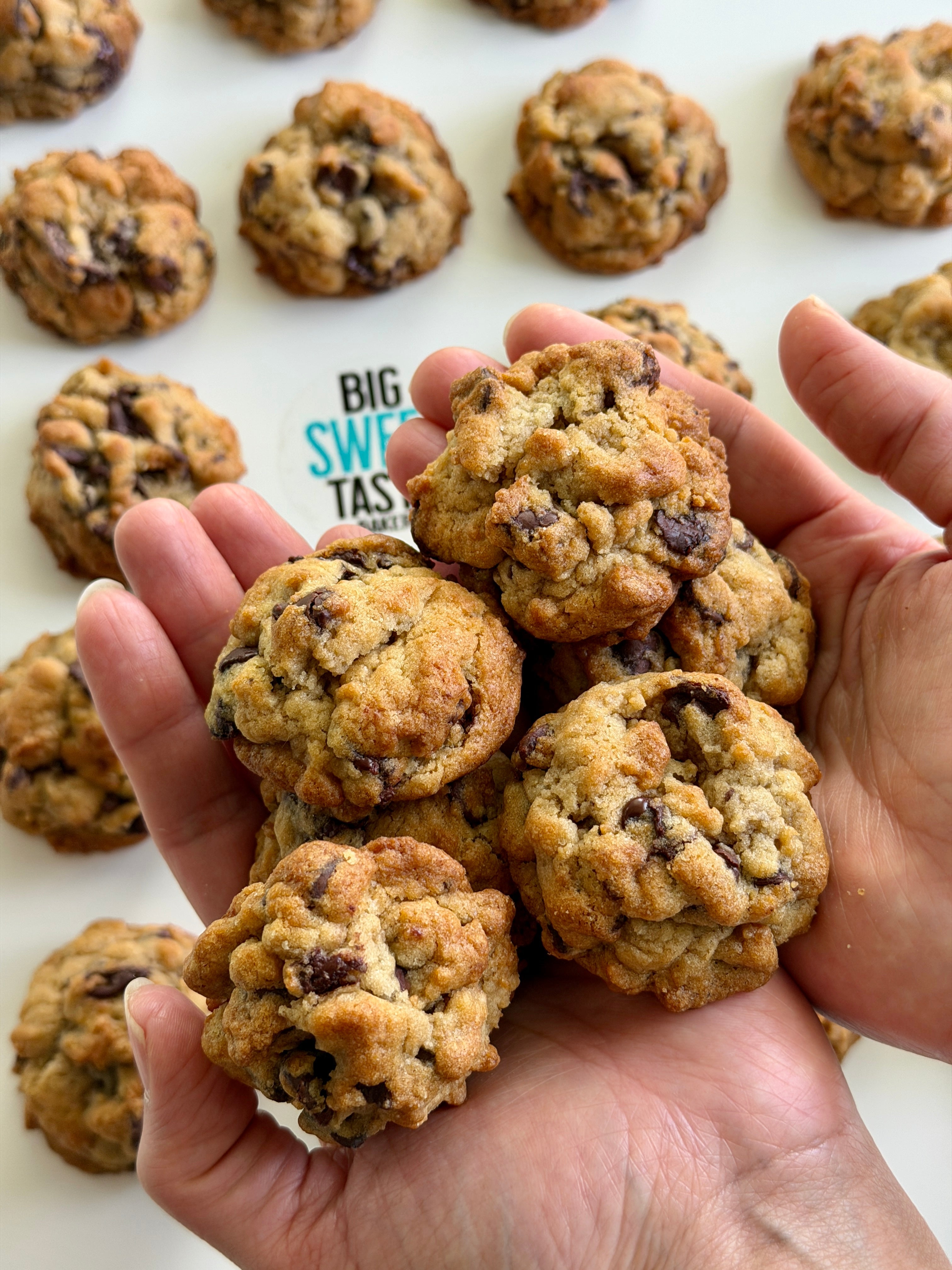 Big Sweet Tasty NYC Minis pouch with six bite-sized New York-style cookies