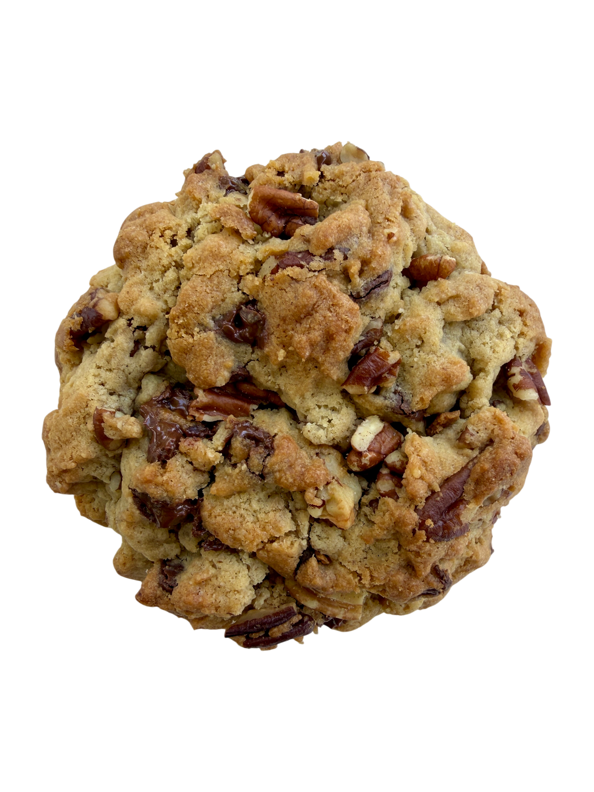 Chocolate Chip Pecan